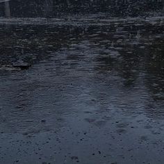 Rain background Blank Meme Template