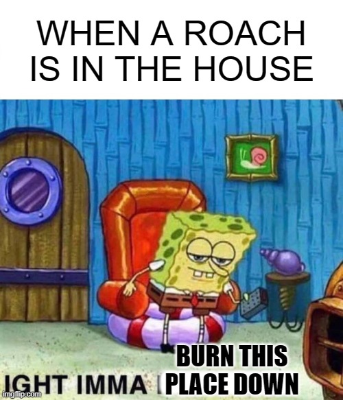 Spongebob Ight Imma Head Out | WHEN A ROACH IS IN THE HOUSE; I; BURN THIS PLACE DOWN | image tagged in memes,spongebob ight imma head out | made w/ Imgflip meme maker