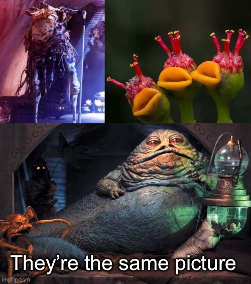 Return of the Jedi Cantina singers | They’re the same picture | image tagged in jaba the hutt,return of the jedi,singers | made w/ Imgflip meme maker