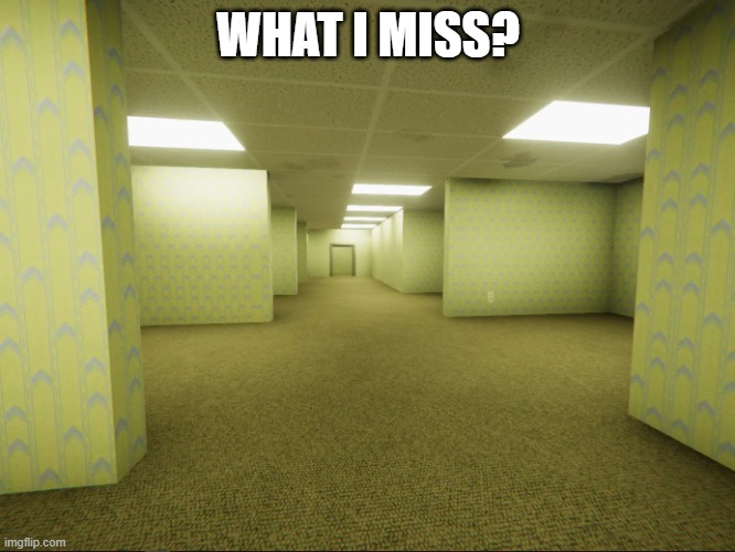 The Backrooms | WHAT I MISS? | image tagged in the backrooms | made w/ Imgflip meme maker
