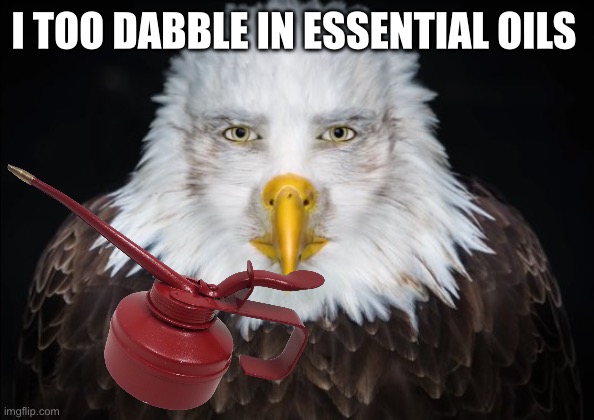 Oil | I TOO DABBLE IN ESSENTIAL OILS | image tagged in bald eagle stare | made w/ Imgflip meme maker