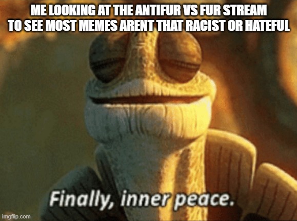 most memes are just rating memes and this prob wont last long | ME LOOKING AT THE ANTIFUR VS FUR STREAM TO SEE MOST MEMES ARENT THAT RACIST OR HATEFUL | image tagged in finally inner peace | made w/ Imgflip meme maker