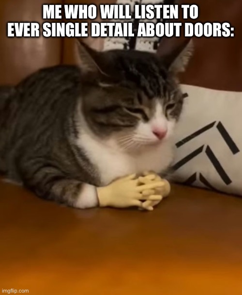 Pondering Cat | ME WHO WILL LISTEN TO EVER SINGLE DETAIL ABOUT DOORS: | image tagged in pondering cat | made w/ Imgflip meme maker
