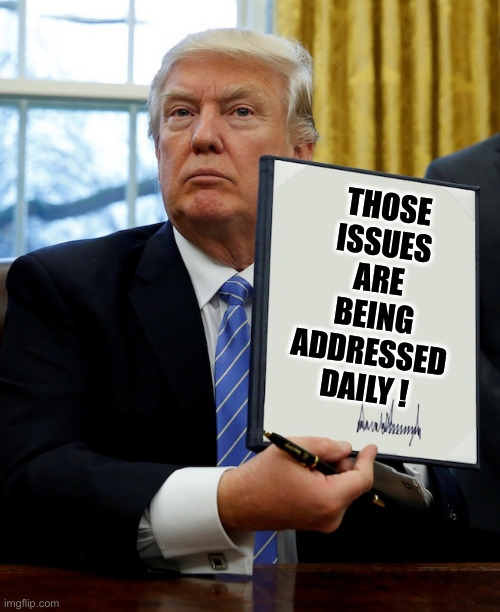 Donald Trump blank executive order | THOSE ISSUES ARE BEING ADDRESSED DAILY ! | image tagged in donald trump blank executive order | made w/ Imgflip meme maker