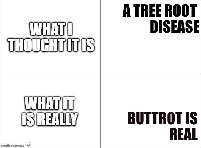 Buttrot is real | A TREE ROOT 
DISEASE; BUTTROT IS
REAL | image tagged in what i thought vs what it is really,funny memes | made w/ Imgflip meme maker