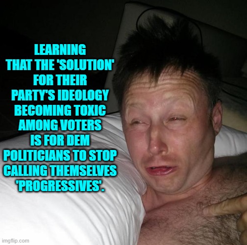 Not fixing the actual problem . . . is the leftist way. | LEARNING THAT THE 'SOLUTION' FOR THEIR PARTY'S IDEOLOGY BECOMING TOXIC AMONG VOTERS IS FOR DEM POLITICIANS TO STOP CALLING THEMSELVES 'PROGRESSIVES'. | image tagged in limmy waking up | made w/ Imgflip meme maker