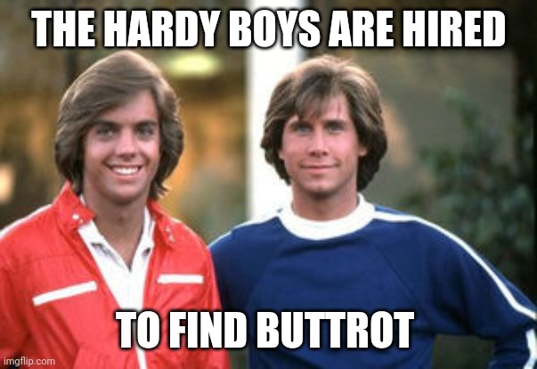 Hardy Boys Buttrot | THE HARDY BOYS ARE HIRED; TO FIND BUTTROT | image tagged in hardy boys,funny memes | made w/ Imgflip meme maker