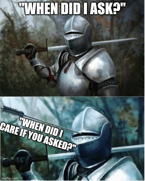 Ultimate Counter to the "who asked" remark | "WHEN DID I ASK?"; "WHEN DID I CARE IF YOU ASKED?" | image tagged in knight with arrow in helmet | made w/ Imgflip meme maker