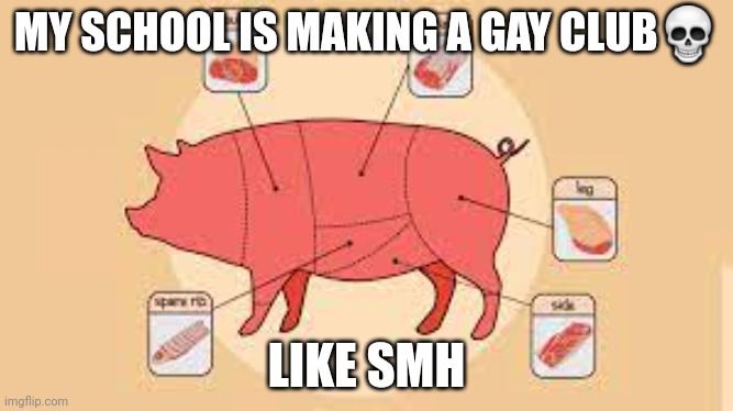 alot of the teachers dont want it so thats good | MY SCHOOL IS MAKING A GAY CLUB💀; LIKE SMH | image tagged in porky | made w/ Imgflip meme maker