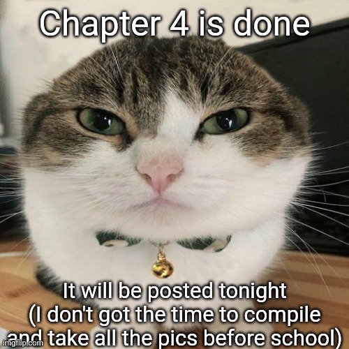 >:) | Chapter 4 is done; It will be posted tonight (I don't got the time to compile and take all the pics before school) | image tagged in wawa cat | made w/ Imgflip meme maker
