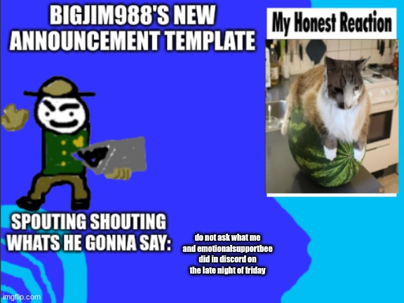 do not ask what me and emotionalsupportbee did in discord on the late night of friday | image tagged in bigjim998s new template | made w/ Imgflip meme maker