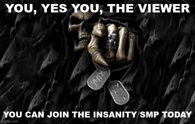 i forgor the og copypasta but i made something ig | YOU, YES YOU, THE VIEWER; YOU CAN JOIN THE INSANITY SMP TODAY | image tagged in skull points at viewer | made w/ Imgflip meme maker