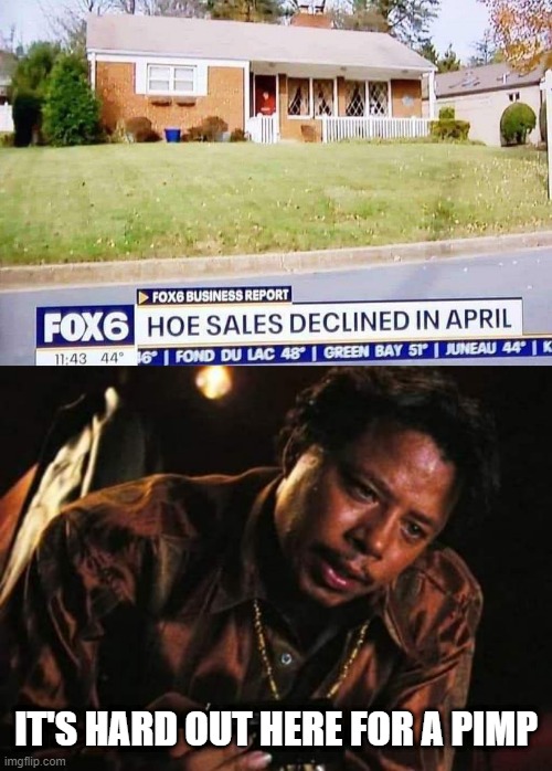 Hoe Sales | IT'S HARD OUT HERE FOR A PIMP | image tagged in terrence howard | made w/ Imgflip meme maker