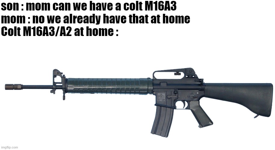Bich(Context: this is the CLC - T65K2 Rifle, an Alternate for the M16) | son : mom can we have a colt M16A3
mom : no we already have that at home
Colt M16A3/A2 at home : | image tagged in just a t65a2,bich | made w/ Imgflip meme maker