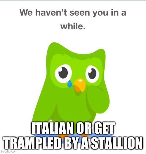duo italian (Help) | ITALIAN OR GET TRAMPLED BY A STALLION | image tagged in sad duolingo bird,memes,duolingo | made w/ Imgflip meme maker