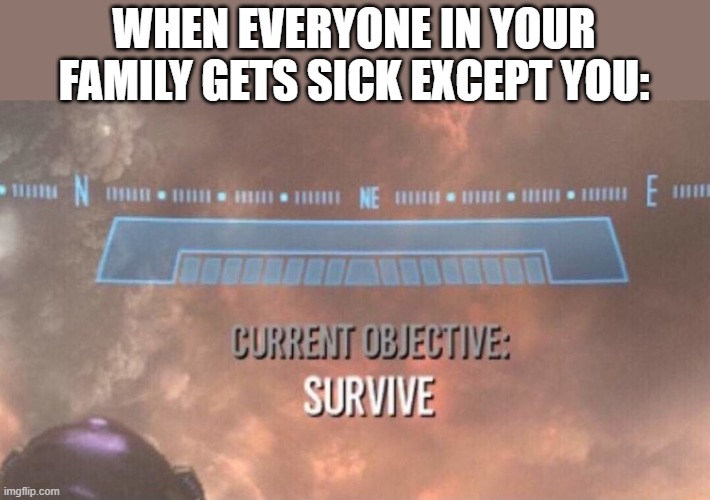 this happened to me once! | WHEN EVERYONE IN YOUR FAMILY GETS SICK EXCEPT YOU: | image tagged in current objective survive | made w/ Imgflip meme maker
