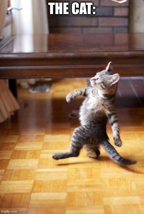 Cat Walking Like Human | THE CAT: | image tagged in cat walking like human | made w/ Imgflip meme maker