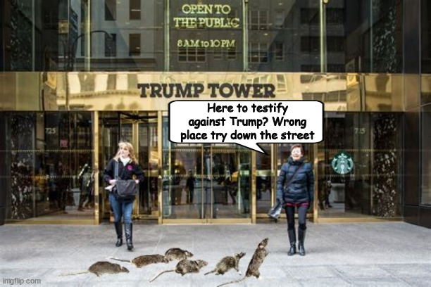 Rats of Manhattan | Here to testify against Trump? Wrong place try down the street | image tagged in trump in court,rats,ratting on trump,parade of rats,trump trial,maga mess | made w/ Imgflip meme maker