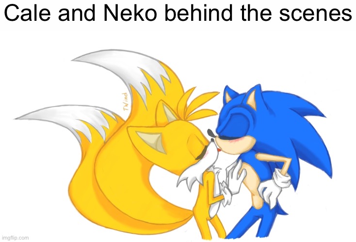 Ok I’m done. | Cale and Neko behind the scenes | image tagged in sonic and tails kiss | made w/ Imgflip meme maker