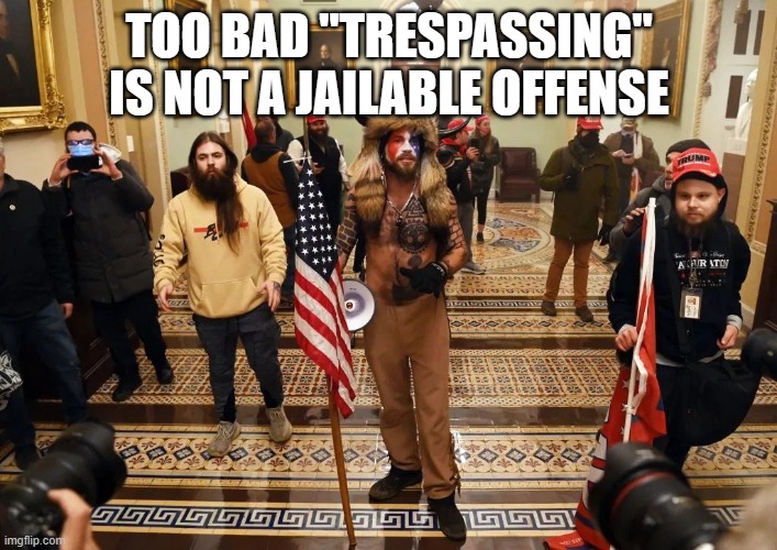 QAnon Shaman | TOO BAD "TRESPASSING" IS NOT A JAILABLE OFFENSE | image tagged in qanon shaman | made w/ Imgflip meme maker