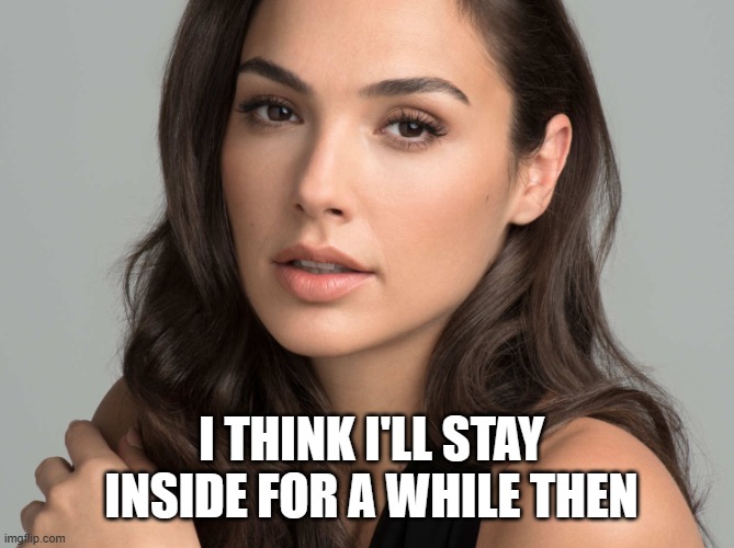 Gal Gadot | I THINK I'LL STAY INSIDE FOR A WHILE THEN | image tagged in gal gadot | made w/ Imgflip meme maker
