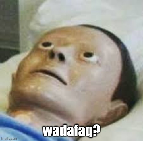 Traumatized Mannequin | wadafaq? | image tagged in traumatized mannequin | made w/ Imgflip meme maker