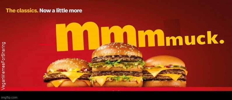 McDonald's | image tagged in vegan,veganism,mcdonalds,hamburger,cheeseburger,shit | made w/ Imgflip meme maker