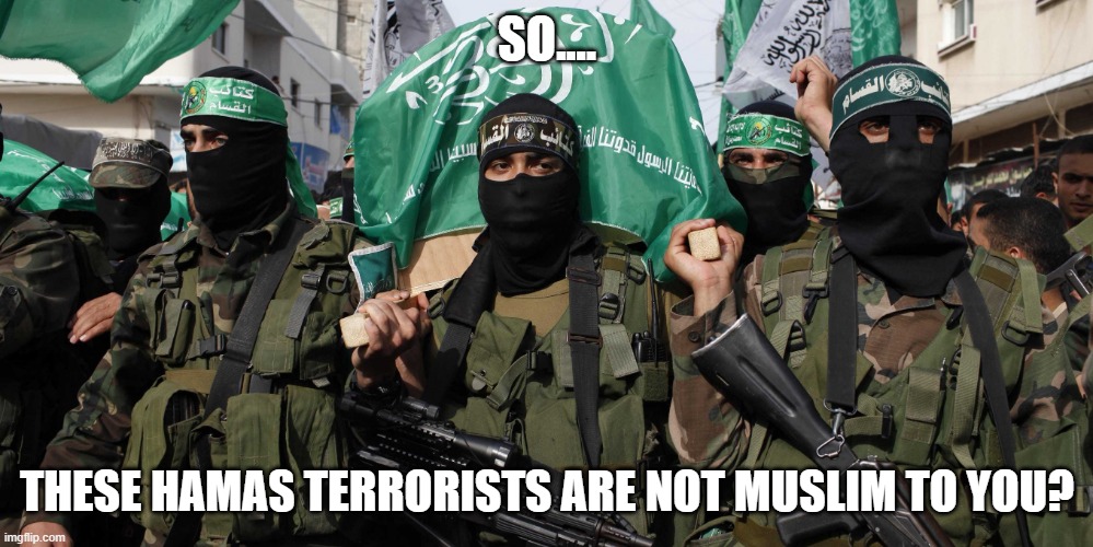 I used this in an argument btw | SO.... THESE HAMAS TERRORISTS ARE NOT MUSLIM TO YOU? | image tagged in hamas | made w/ Imgflip meme maker