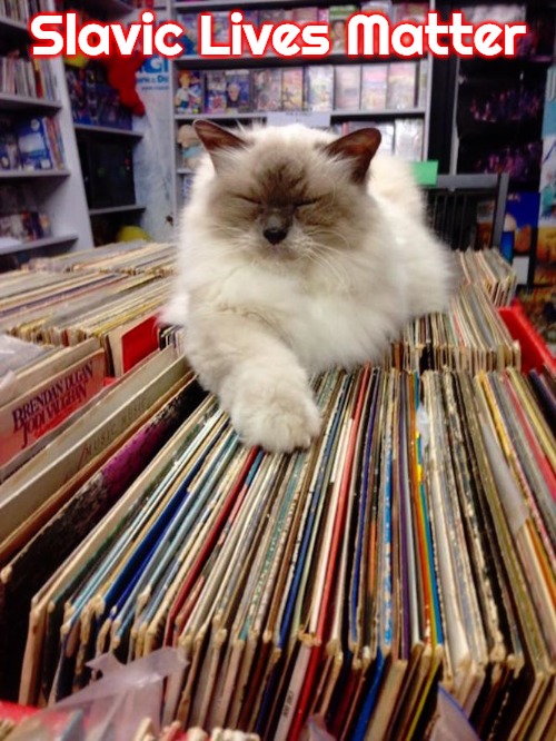 cat on top of vinyl records | Slavic Lives Matter | image tagged in cat on top of vinyl records,slavic | made w/ Imgflip meme maker
