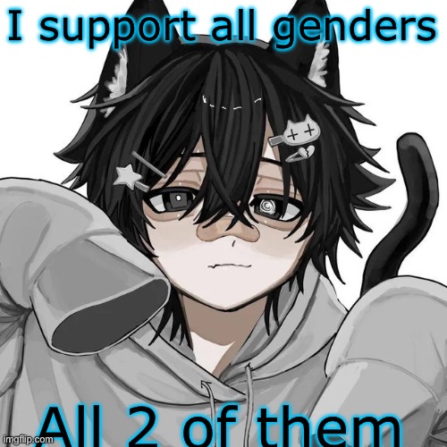 tfym I ain't masculine? | I support all genders; All 2 of them | image tagged in tfym i ain't masculine | made w/ Imgflip meme maker