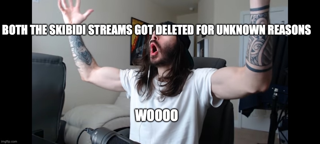 Moist critikal screaming | BOTH THE SKIBIDI STREAMS GOT DELETED FOR UNKNOWN REASONS; WOOOO | image tagged in moist critikal screaming | made w/ Imgflip meme maker