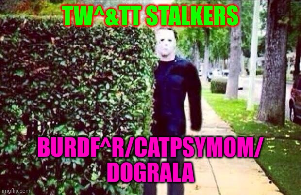 SM prime stalkers | TW^&TT STALKERS; BURDF^R/CATPSYMOM/
DOGRALA | image tagged in burdfqr-catmom-dograla | made w/ Imgflip meme maker