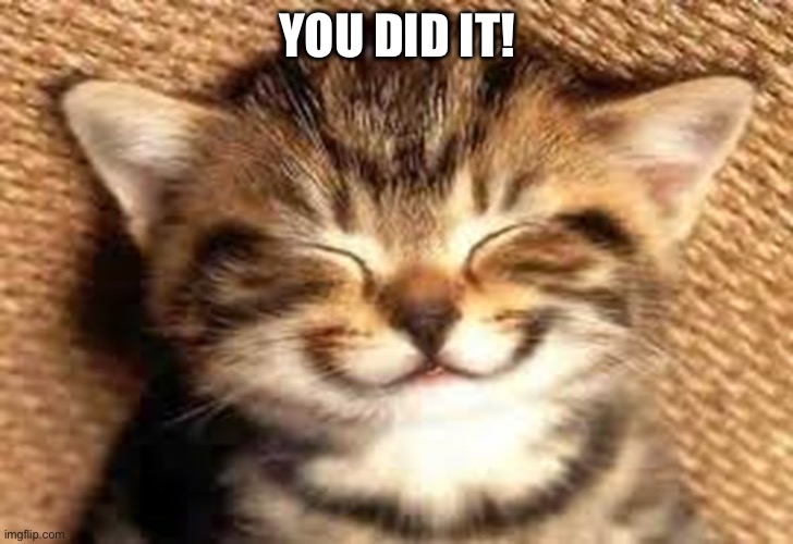 Happy Cat | YOU DID IT! | image tagged in happy cat | made w/ Imgflip meme maker