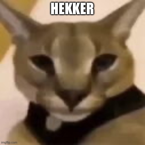 Hecker | HEKKER | image tagged in hecker | made w/ Imgflip meme maker