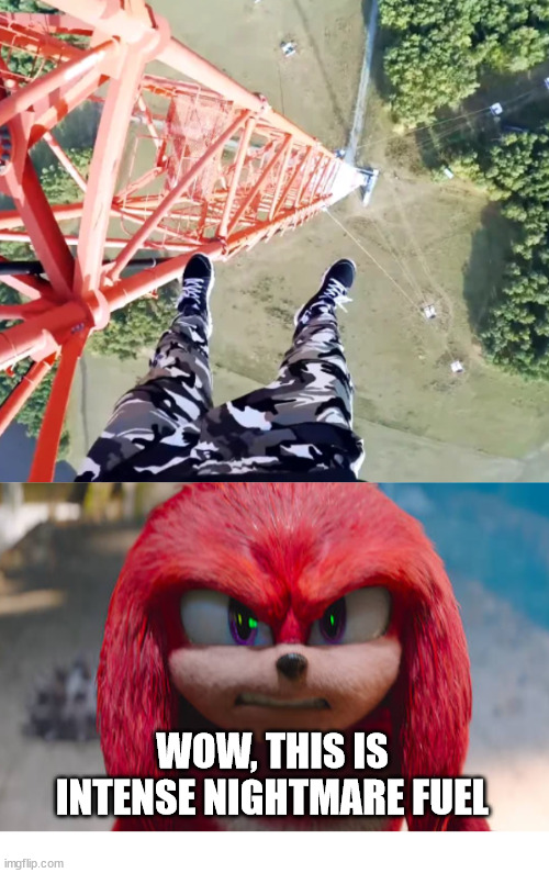 Sonic the Hedgehog, Knuckles | WOW, THIS IS INTENSE NIGHTMARE FUEL | image tagged in lattice climbing,sonic the hedgehog,menme,template,knuckles | made w/ Imgflip meme maker