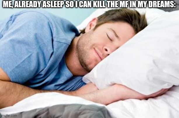sleeping | ME, ALREADY ASLEEP SO I CAN KILL THE MF IN MY DREAMS: | image tagged in sleeping | made w/ Imgflip meme maker