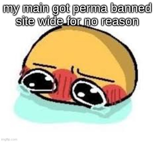 this is bearlands and I haven't verified so I cant comment | my main got perma banned site wide for no reason | image tagged in amb shamb bbbmba | made w/ Imgflip meme maker