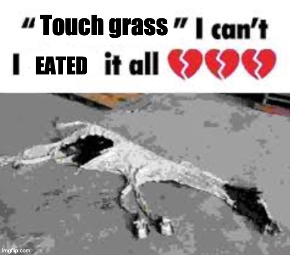 I can't I X it all | Touch grass EATED | image tagged in i can't i x it all | made w/ Imgflip meme maker