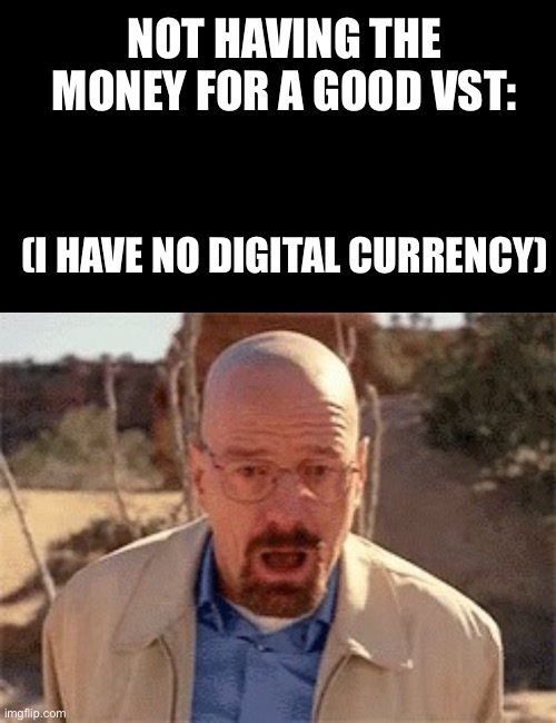 NOT HAVING THE MONEY FOR A GOOD VST: (I HAVE NO DIGITAL CURRENCY) | image tagged in black rectangle,walter white | made w/ Imgflip meme maker