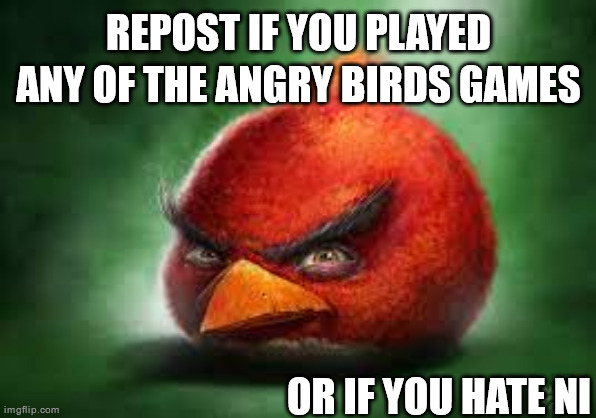 Realistic Red Angry Birds | REPOST IF YOU PLAYED ANY OF THE ANGRY BIRDS GAMES; OR IF YOU HATE NI | image tagged in realistic red angry birds | made w/ Imgflip meme maker