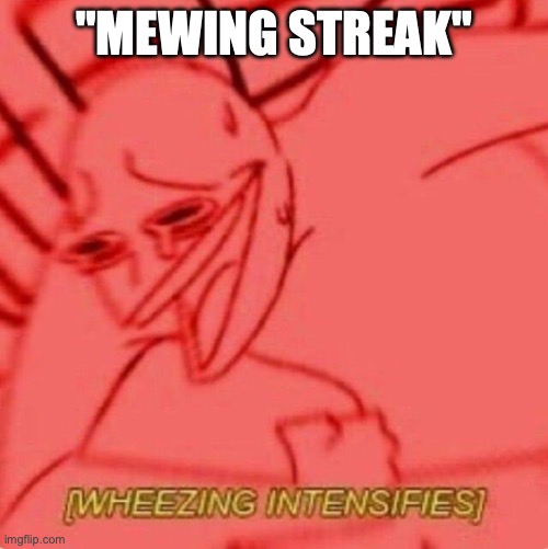 HAHAHHAHAHA | "MEWING STREAK" | image tagged in wheezing intensifies | made w/ Imgflip meme maker