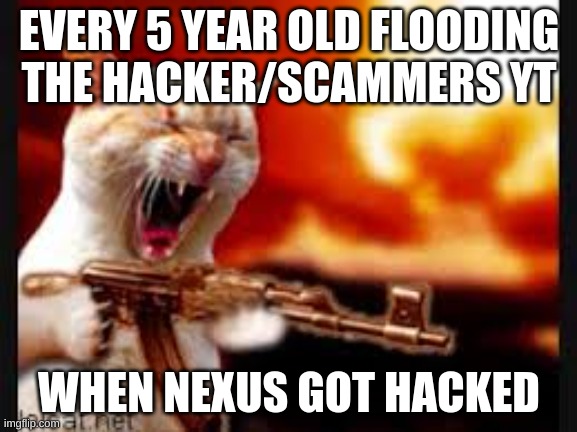 The day nexus got hacked | EVERY 5 YEAR OLD FLOODING
THE HACKER/SCAMMERS YT; WHEN NEXUS GOT HACKED | image tagged in cat gone crazy,geometry dash | made w/ Imgflip meme maker