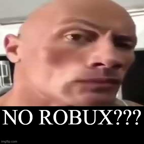 NO ROBUX??? | NO ROBUX??? | | image tagged in funny,demotivationals | made w/ Imgflip demotivational maker