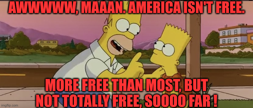 Getn 'Er Lined Out | AWWWWW, MAAAN. AMERICA ISN'T FREE. MORE FREE THAN MOST, BUT NOT TOTALLY FREE, SOOOO FAR ! | image tagged in homer so far,political meme,politics,funny memes,funny | made w/ Imgflip meme maker