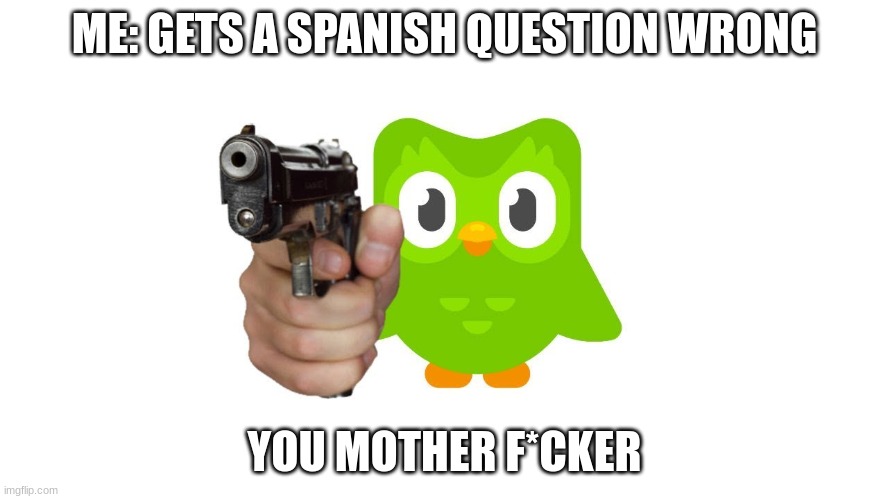 my duelingo be like | ME: GETS A SPANISH QUESTION WRONG; YOU MOTHER F*CKER | image tagged in duelingo with gun | made w/ Imgflip meme maker