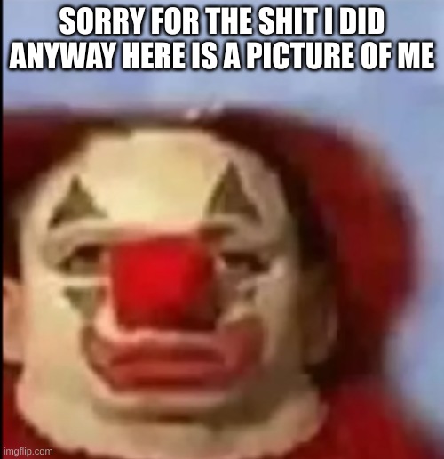 clown face. | SORRY FOR THE SHIT I DID ANYWAY HERE IS A PICTURE OF ME | image tagged in clown face | made w/ Imgflip meme maker