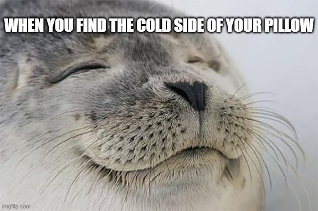 Satisfied Seal Meme | WHEN YOU FIND THE COLD SIDE OF YOUR PILLOW | image tagged in memes,satisfied seal,funny,funny memes | made w/ Imgflip meme maker