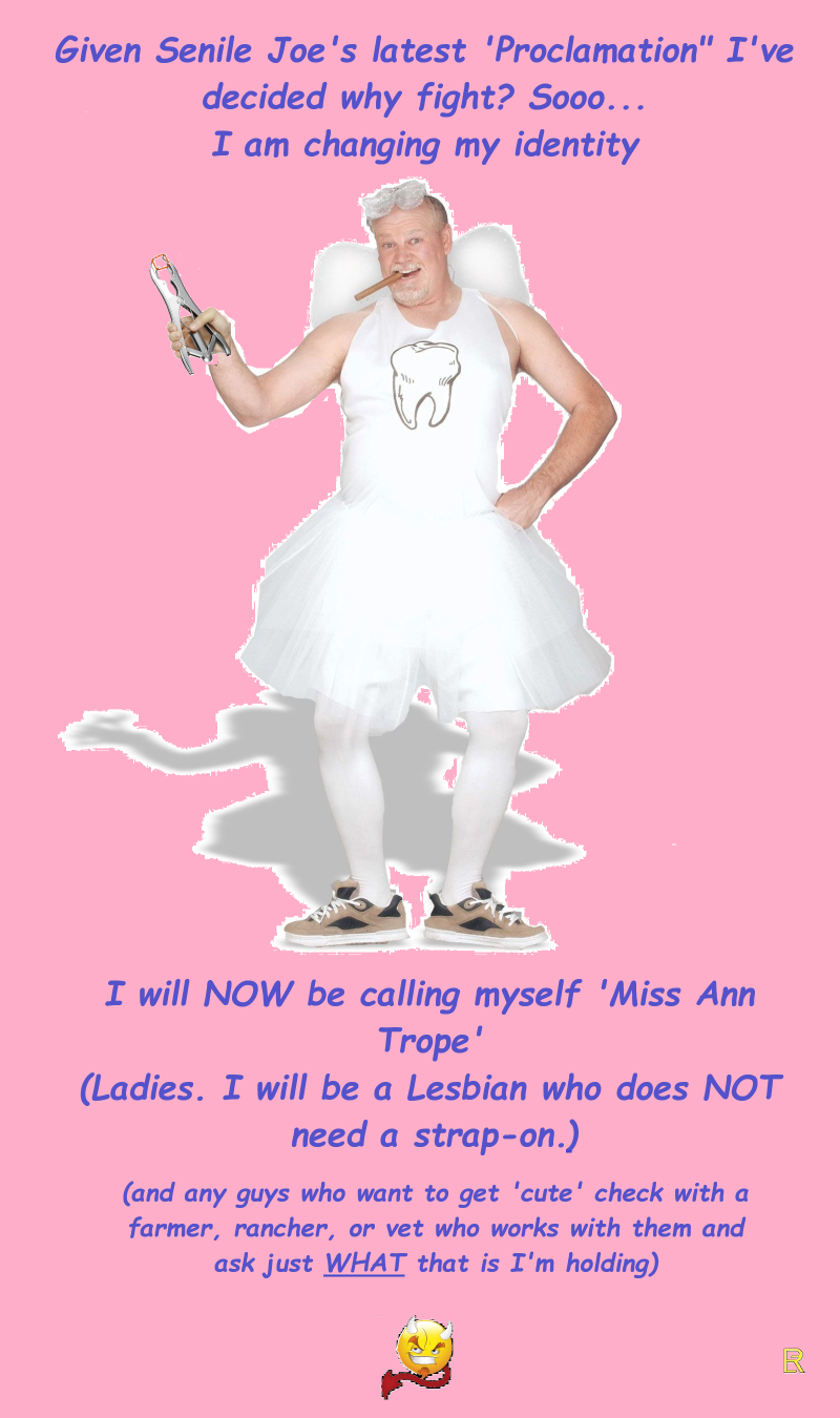 High Quality Miss Ann Trope Blank Meme Template