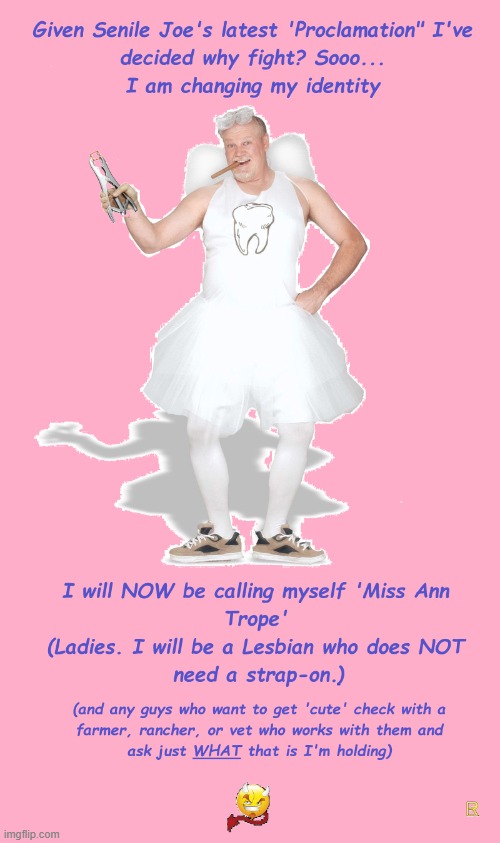 Miss Ann Trope | image tagged in miss ann trope,biden,transgender,insanity | made w/ Imgflip meme maker