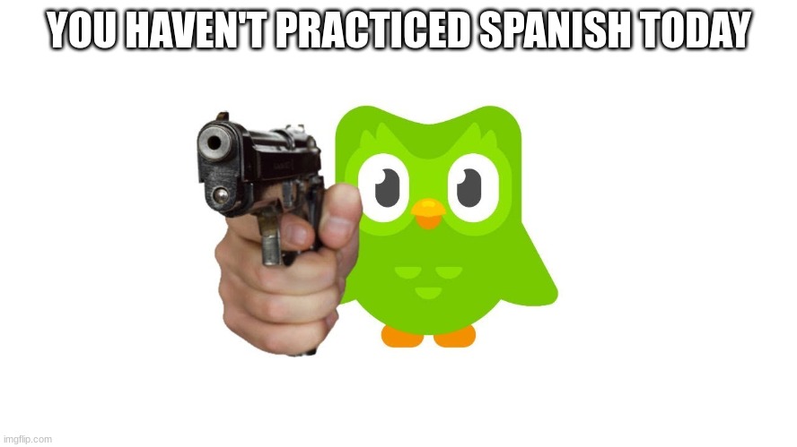 doulingo 2 | YOU HAVEN'T PRACTICED SPANISH TODAY | image tagged in doulingo with gun | made w/ Imgflip meme maker